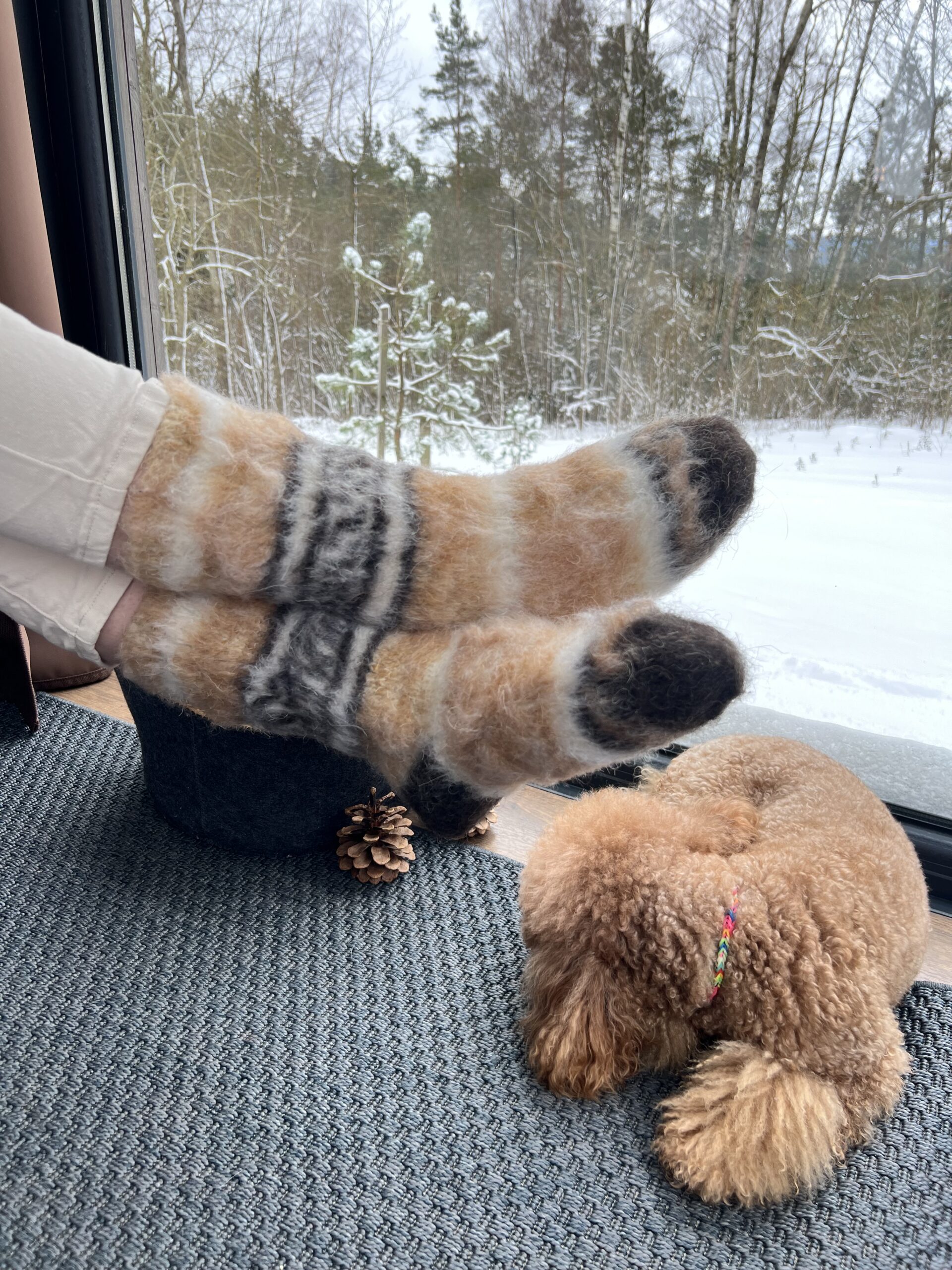 WoolLando dabīgas 100% suņu vilnas DZELTENAS zeķes