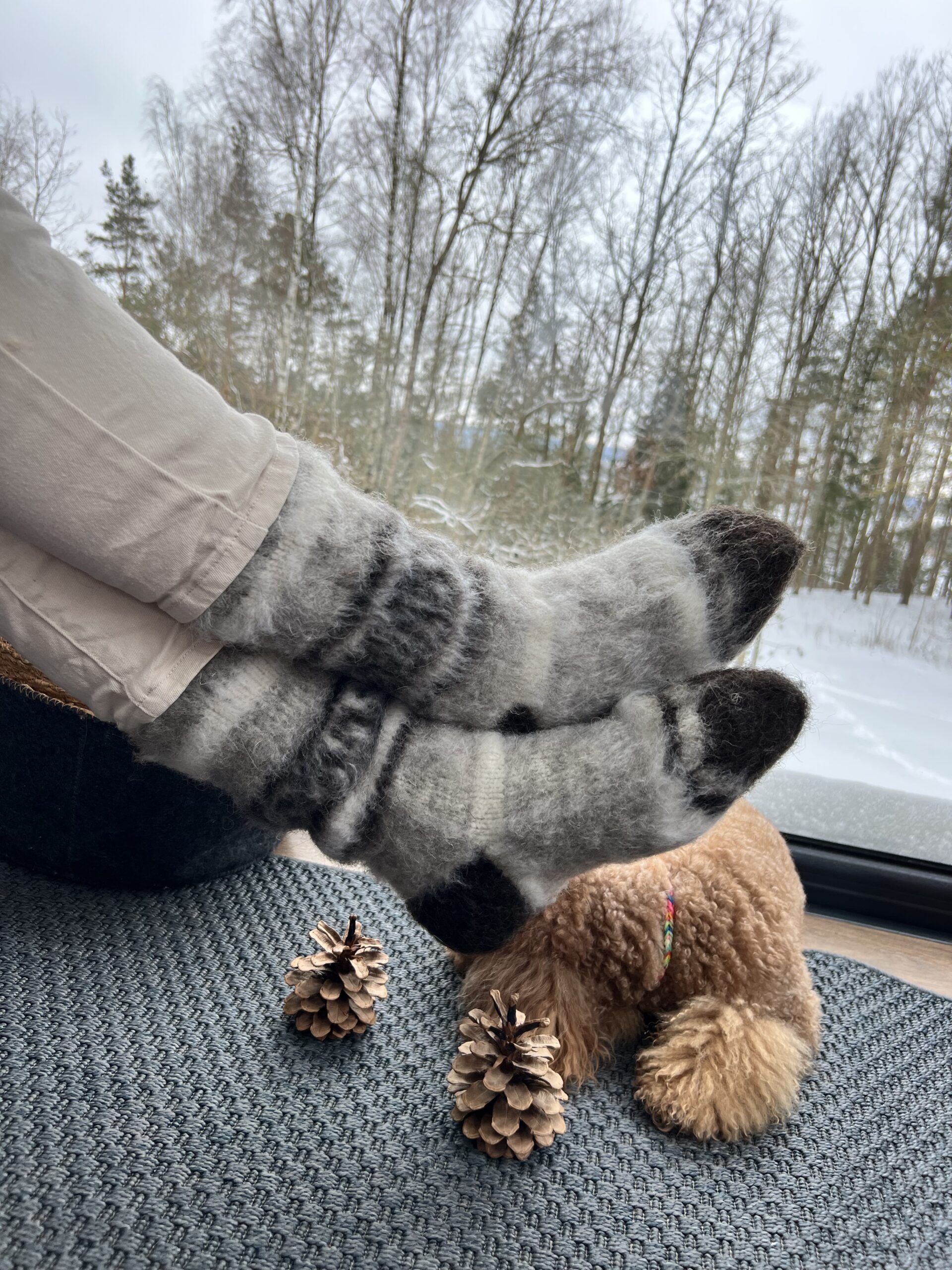 WoolLando dabīgas 100% siltas suņu vilnas zeķes