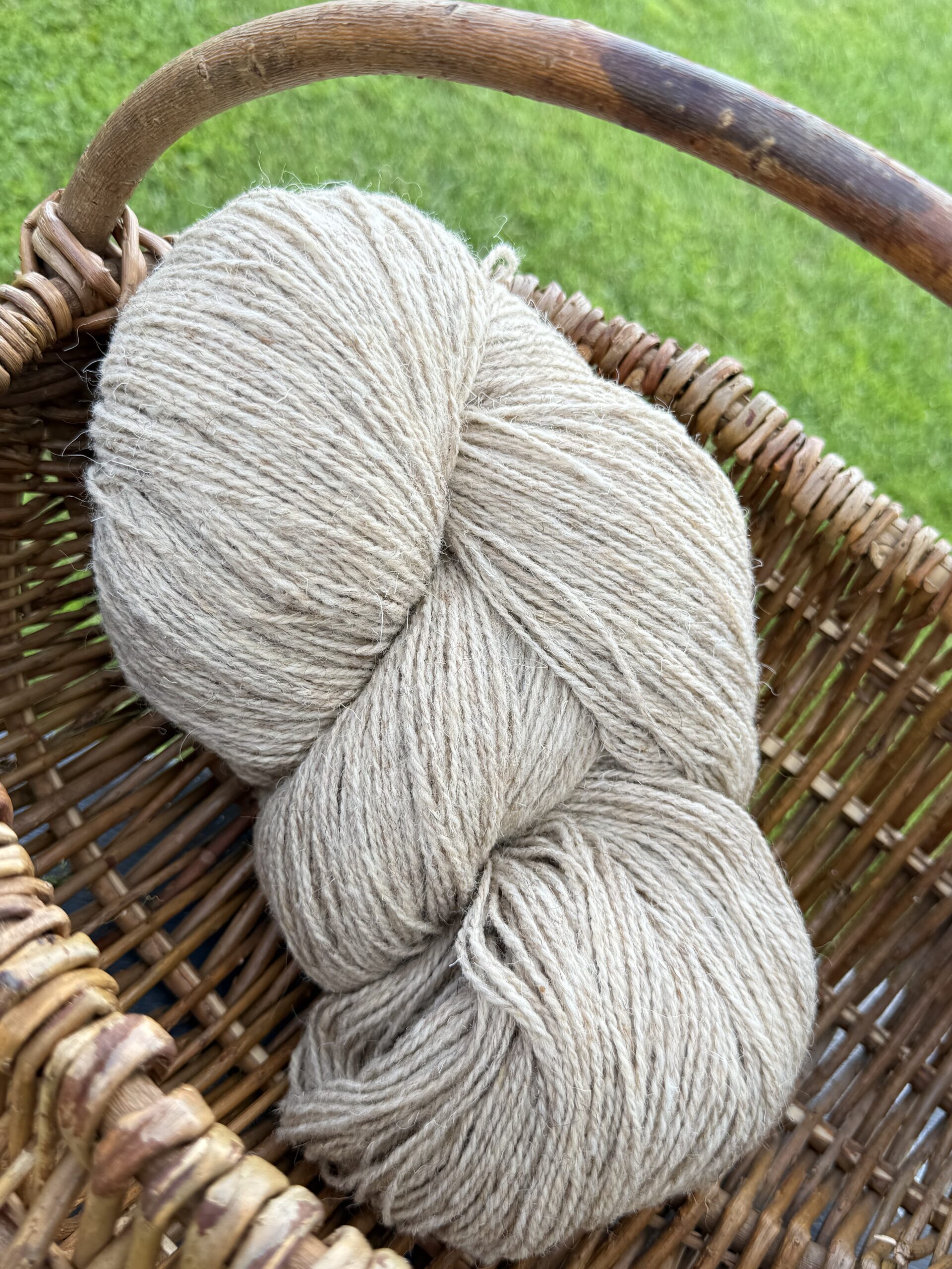 50% suņu 50% aitas vilnas dzija GAIŠI DZELTENA - 1kg