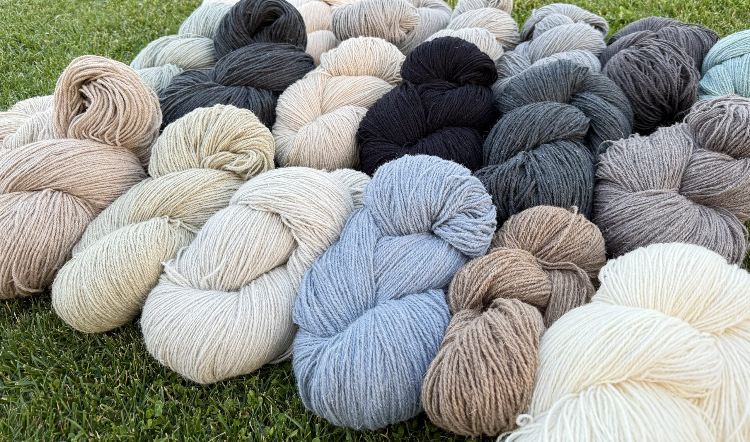 100% aitas vilnas dzijas komplekts DABĪGI KRĀSOTS - 10 kg