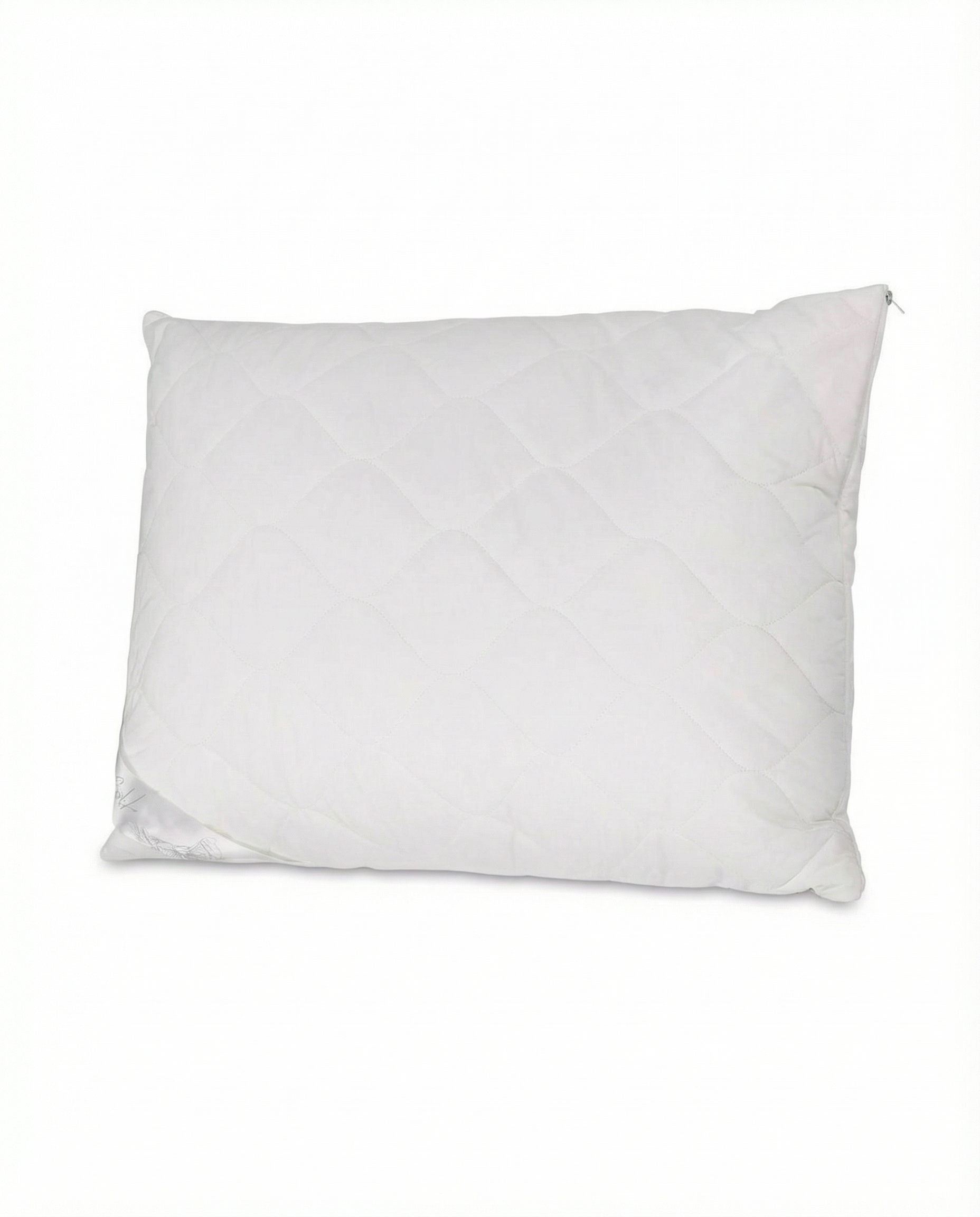 Luksusa pretalerģiskais segas un spilvenu komplekts SILK 300 g/m²