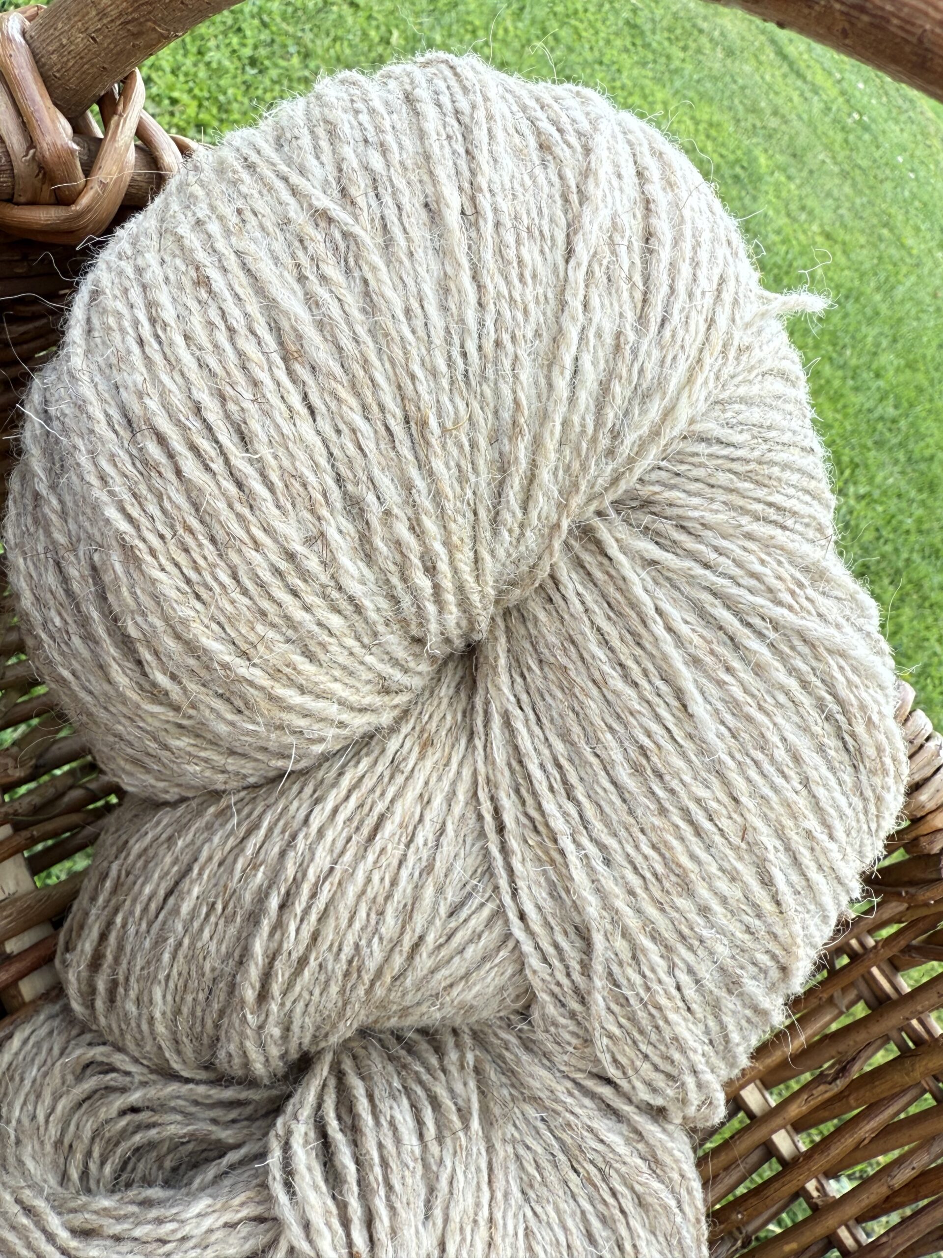 50% suņa vilna / 50% aitu vilnas dzija 1 kg – LIGHT YELLOWISH, WoolLando