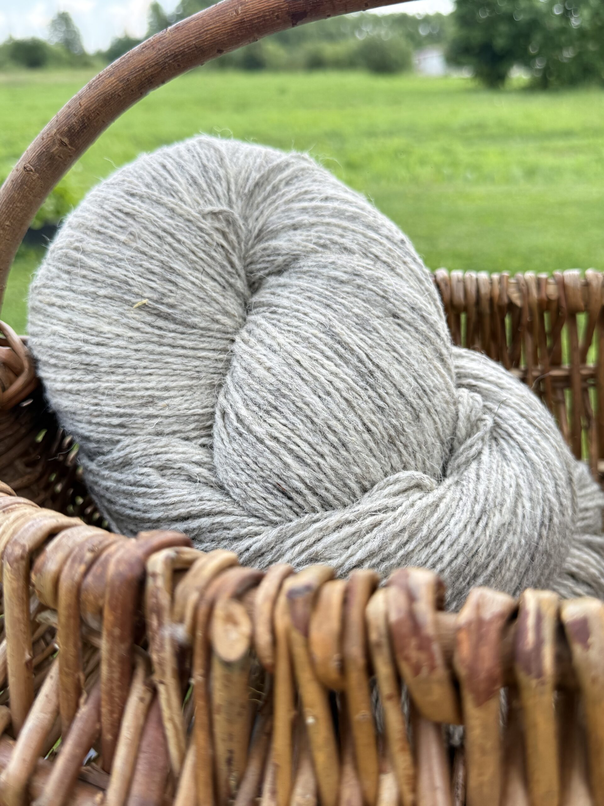 50% suņa vilna / 50% aitu vilnas dzija 1 kg – LIGHT GREY, WoolLando