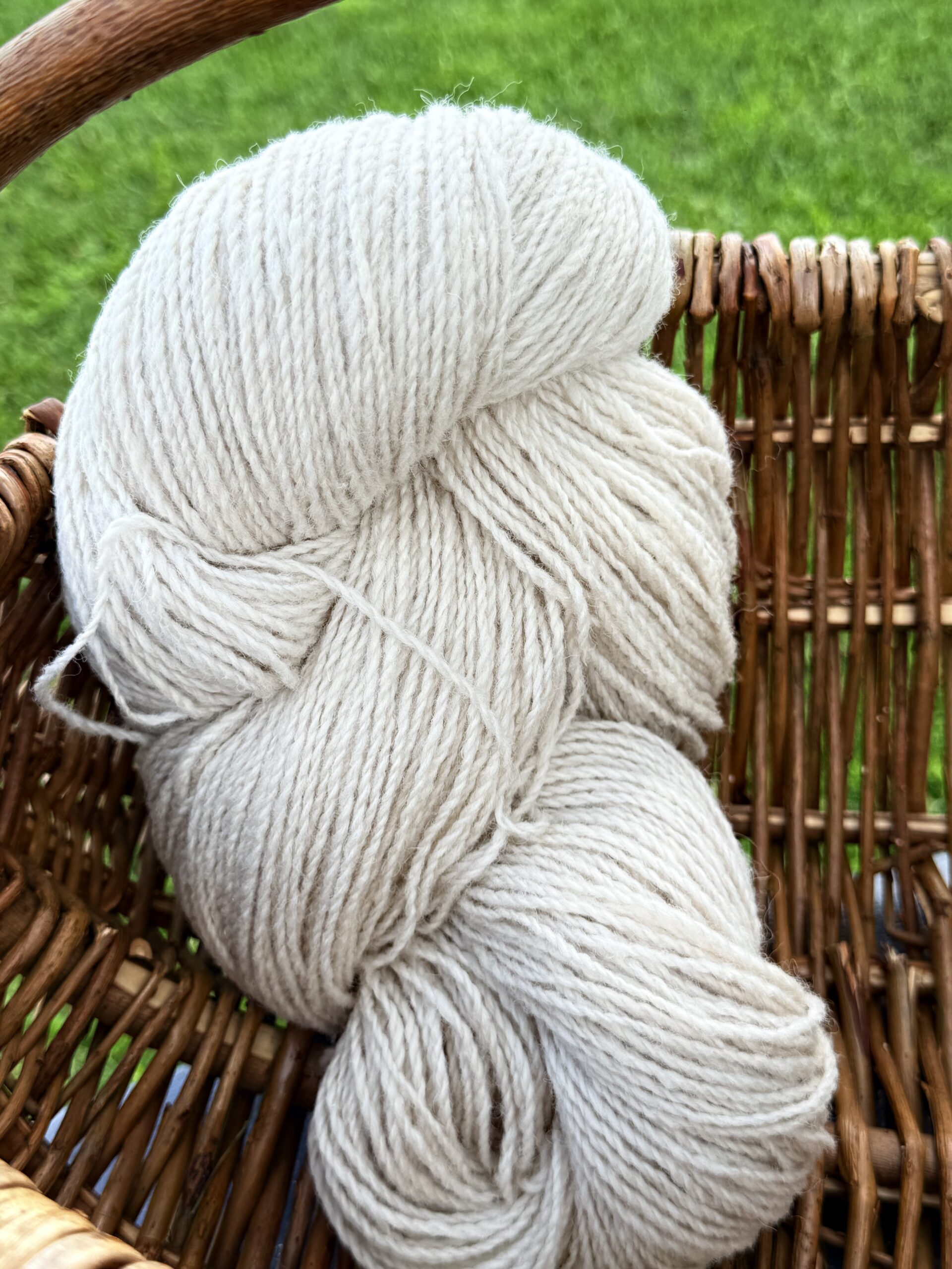 Jaunzēlandes aitu vilnas dzija 1 kg – YELLOWISH, WoolLando