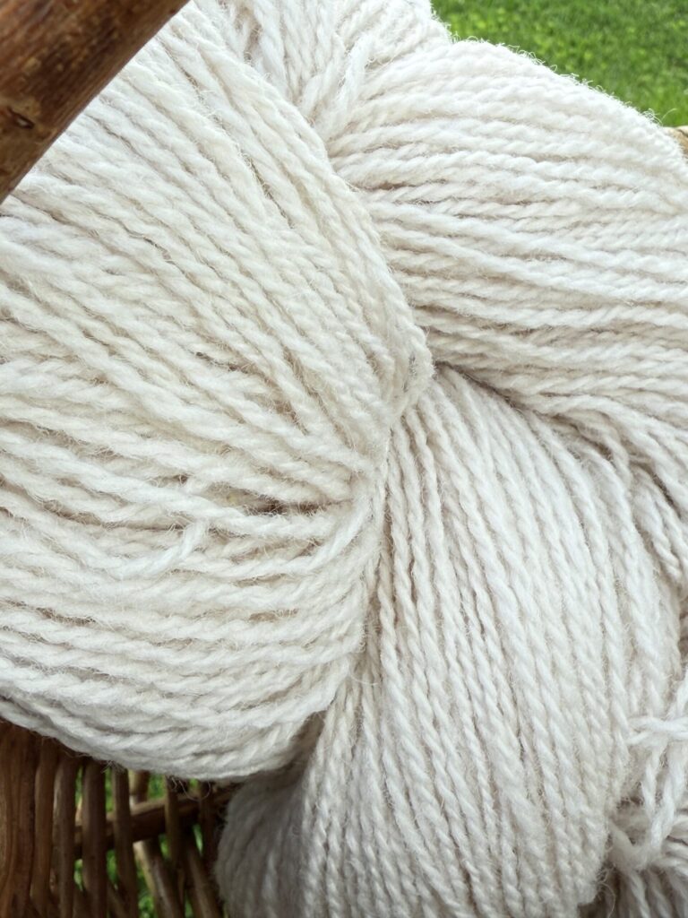 Jaunzēlandes aitu vilnas dzija 1 kg – CREAM, WoolLando