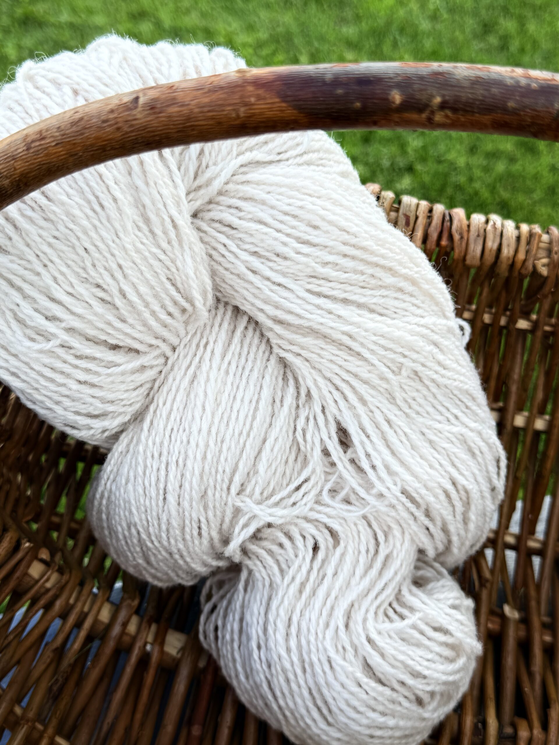 Jaunzēlandes aitu vilnas dzija 1 kg – CREAM, WoolLando