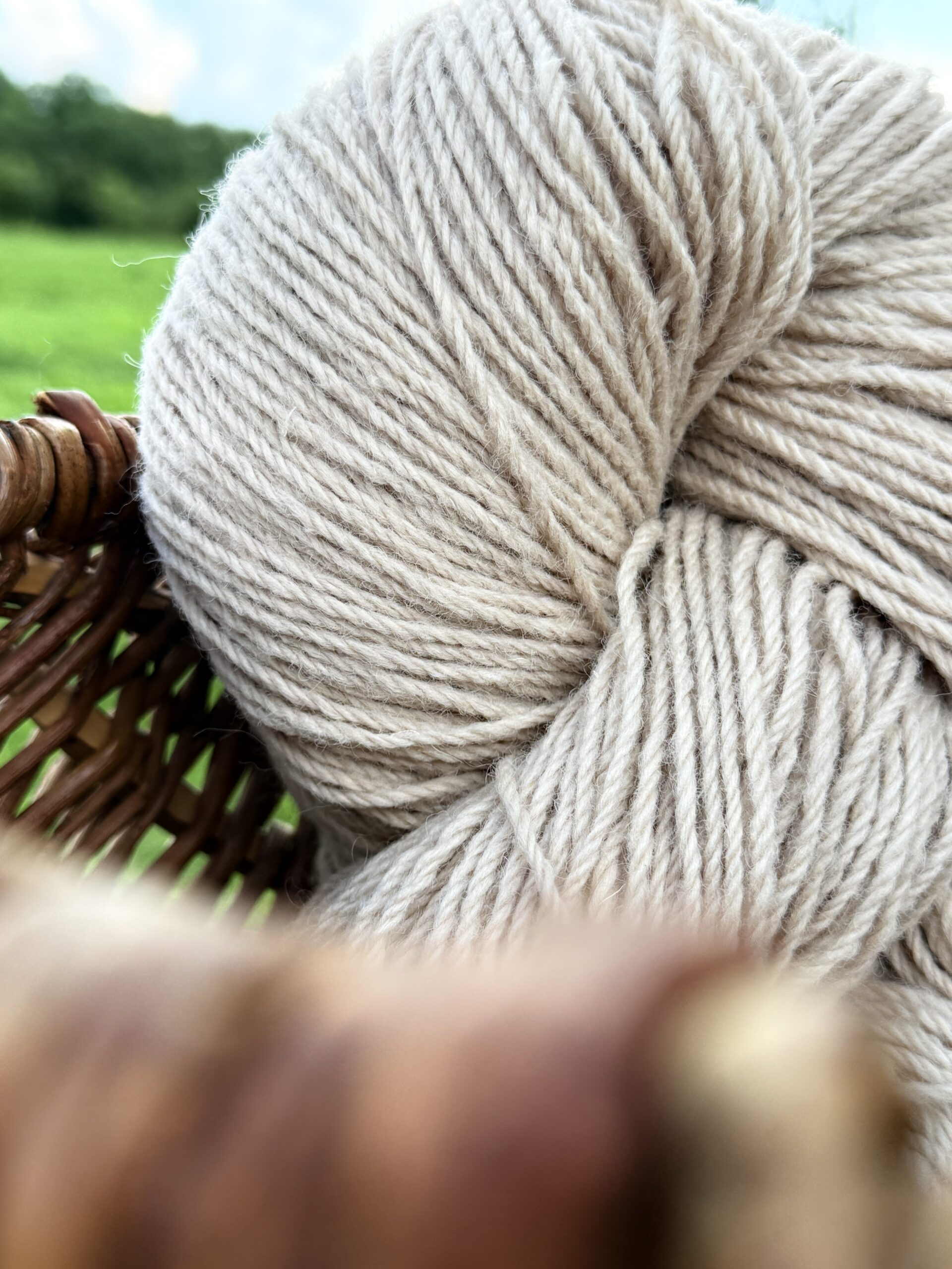 Jaunzēlandes aitu vilnas dzija 1 kg – LIGHT BROWN, WoolLando