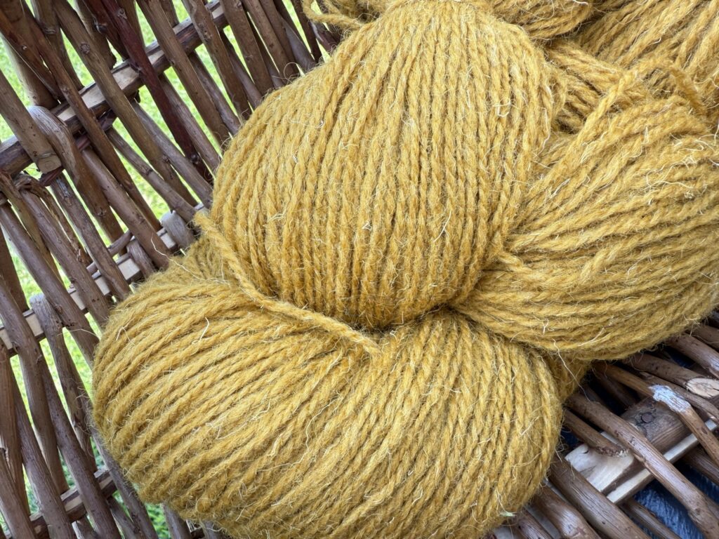 Aitu vilnas dzija 1 kg – MUSTARD YELLOW, WoolLando